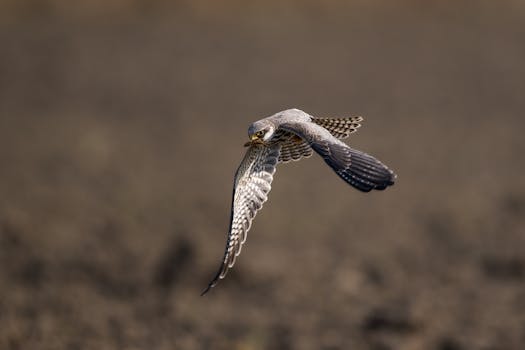  贵州银行高层腐败案尘埃落定；许安一审被判死缓，警示意义深远。 股票财经