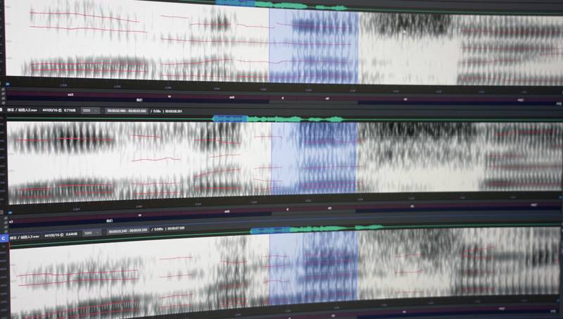  数秒语音的代价：揭秘被AI操控的信任危机 情感心理