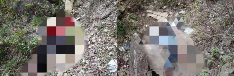  【山区驾驶生存率揭秘】数据背后的生命防线与驾驶准则 IT技术