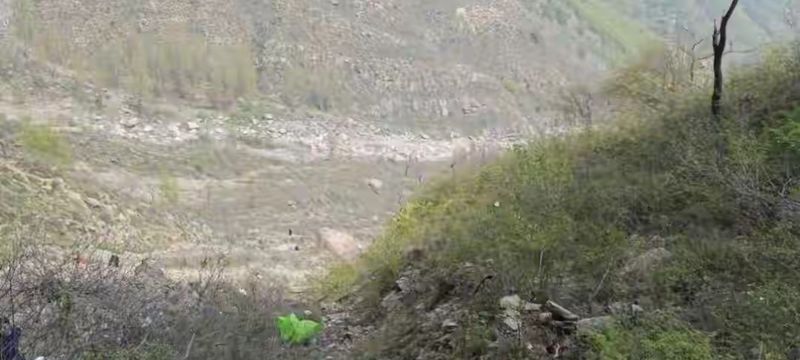  【山区驾驶生存率揭秘】数据背后的生命防线与驾驶准则 IT技术