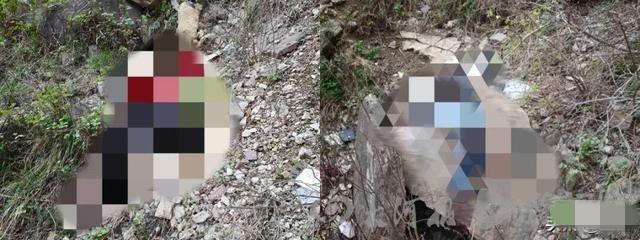  【深度复盘】南太行山路事故技术分析：那些被忽视的山区驾驶致命细节 汽车科技