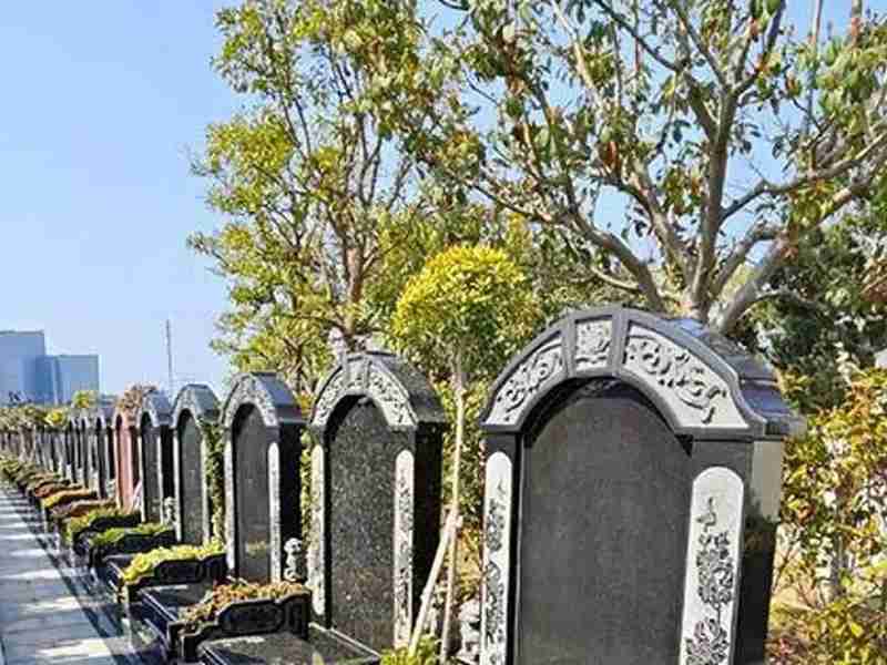  殡葬管理条例修订深度解读：公益属性重塑与生态安葬制度化路径 新闻