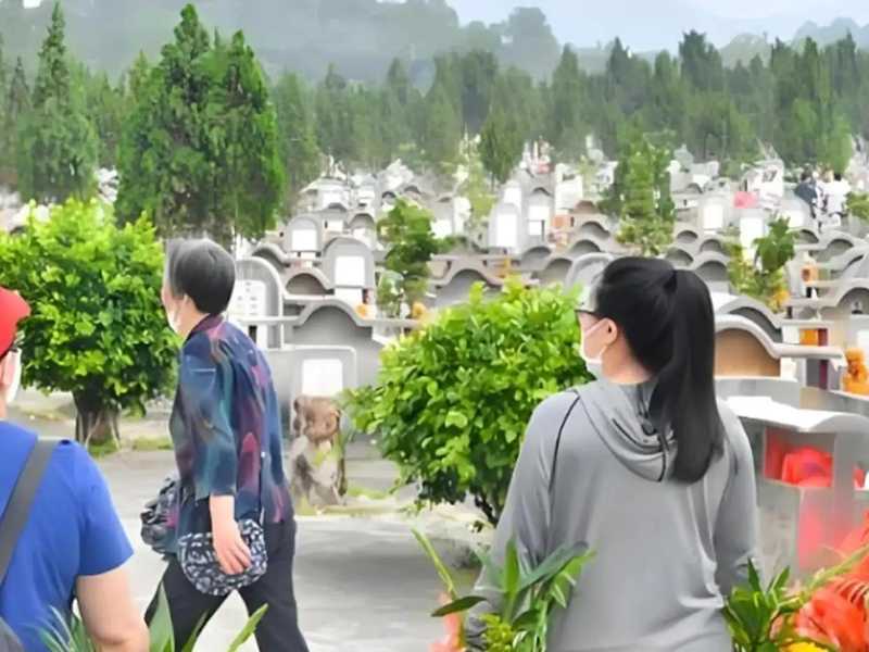  殡葬管理条例修订深度解读：公益属性重塑与生态安葬制度化路径 新闻