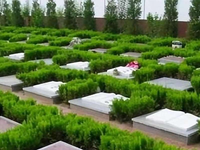  殡葬管理条例修订深度解读：公益属性重塑与生态安葬制度化路径 新闻