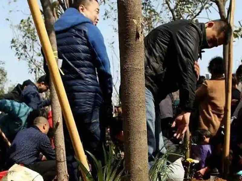  殡葬管理条例修订深度解读：公益属性重塑与生态安葬制度化路径 新闻