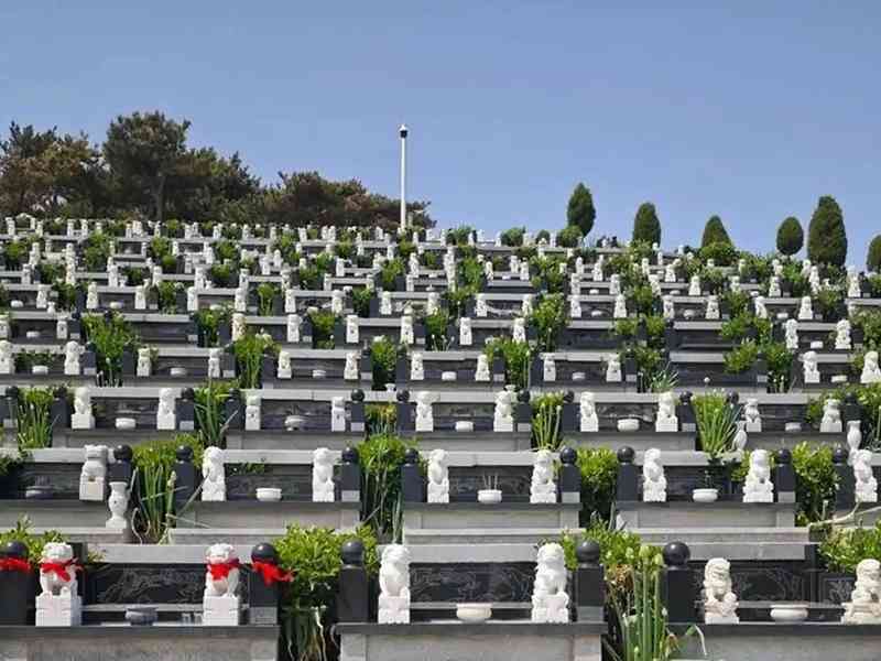  殡葬管理条例修订深度解读：公益属性重塑与生态安葬制度化路径 新闻