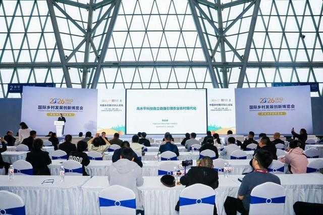  当乡村遇上科技：一位基层干部亲历的四农新故事 新闻