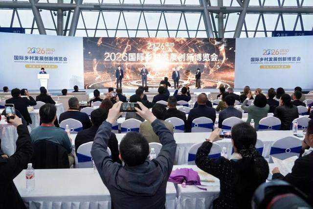  当乡村遇上科技：一位基层干部亲历的四农新故事 新闻