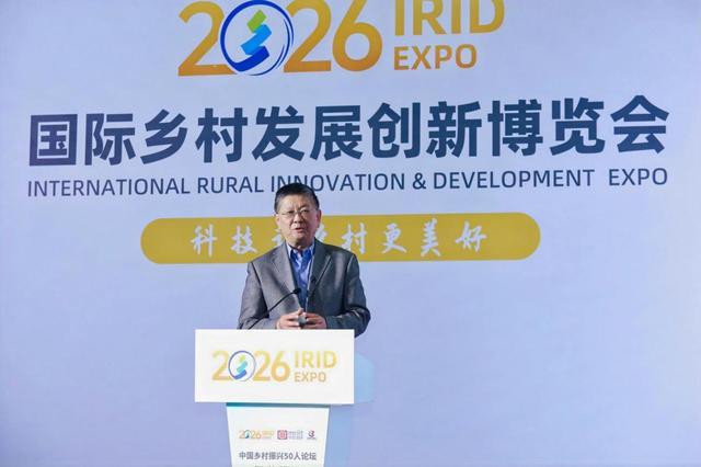  当乡村遇上科技：一位基层干部亲历的四农新故事 新闻