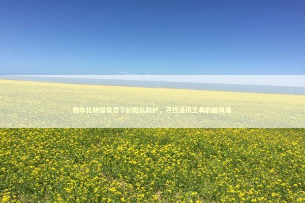 数字化转型背景下的隐私防护，寻找通讯工具的避风港