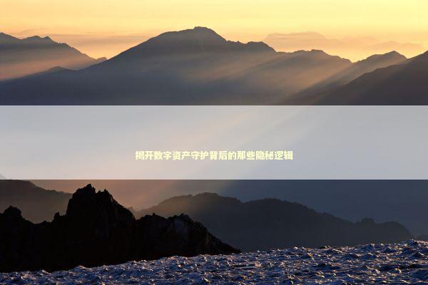 揭开数字资产守护背后的那些隐秘逻辑 IT技术